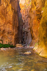 The Steep Carved Walls of the Virgin River Narrows
