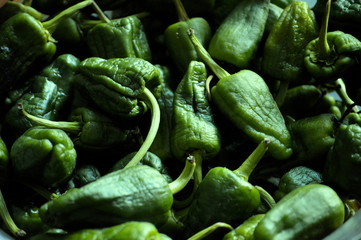 Close-up of a group of green fresh peppers