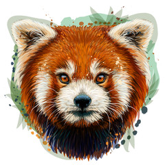Red Panda. Graphic, color, hand-drawn portrait of a Red Panda on a white background in watercolor style.