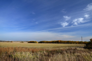 Autumn, endless field, sky, clouds, autumn forest in the background