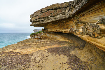hikink in the royal national park, eaglehead rock, australia 15