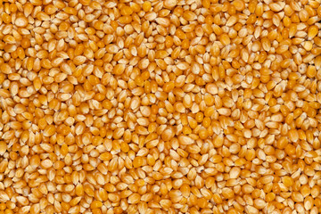 Close-up image of popping popcorn background