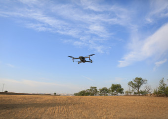 Fototapeta na wymiar Drone volando sobres campo de cereales 