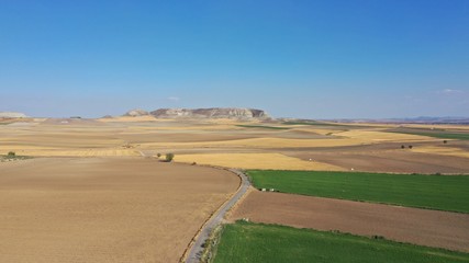 Fototapeta na wymiar Campos de Castilla la Mancha de secano y regadio
