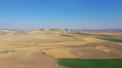 Campos de Castilla la Mancha de secano y regadlo 
