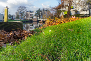 Fototapeta premium Rembrandt monument and bridge in Leiden, Netherlands