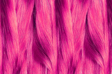 Obraz premium Curled pink hair as background, texture