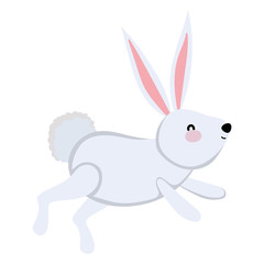 Isolated rabbit cartoon vector design