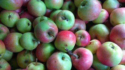 Fresh apples of medium size, green with red sides. Apples have leaves and twigs.