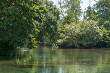 Sorgue river vibrant green tranquil water in quite forest of Provence, Southern France