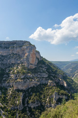 Canyon Gorges de la Nesque, gray cliffs with green forest in summer sunny day in Provence, South France