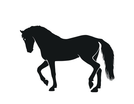 horse silhouette side view. isolated vector image in simple style