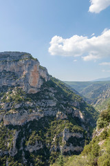 Fototapeta na wymiar Canyon Gorges de la Nesque, gray cliffs with green forest in summer sunny day in Provence, South France