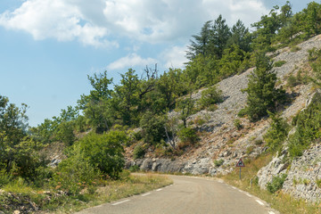 Fototapeta premium Empty road in the Canyon Gorges de la Nesque, gray cliffs with green forest in summer sunny day in Provence, South France