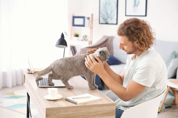 Man stroking cute funny cat while working at home