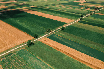 Obraz premium Beautiful countryside patchwork pattern of cultivated landscape from drone pov