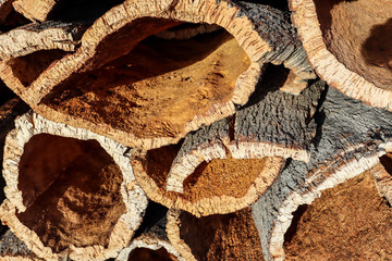 Harvested cork oak bark from the trunk of cork oak tree (Quercus suber) for industrial production of wine cork stopper in the Alentejo region, Portugal