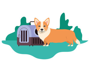 dog and pet transport box with background landscape