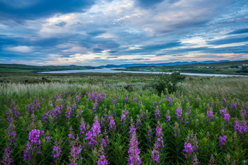 Obraz premium Landscape, Isle of Skye, UK