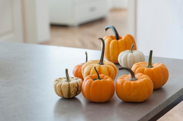 halloween pumpkins isolated on table