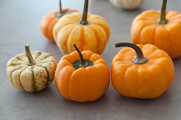 halloween pumpkins isolated on table