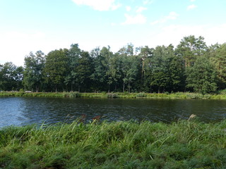 Ein See in Berlin im Sommer 19.