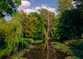 autumn landscape, view of the pond with the shore and trees