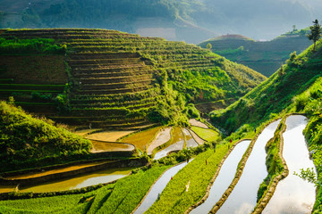 Paysage de rizières en terrasse, Mu Cang Chai, province de Yen Bai, Vietnam. 