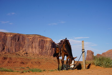 Horse Monument Valley