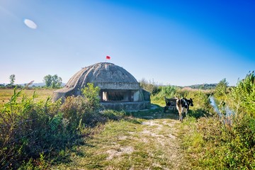 Italina bunker in albanian countryside transformed to a living home. River and cow nearby and blue sky in the background.