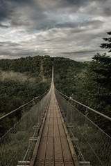View of a suspension bridge in Germany, Geierlay.