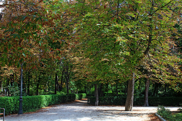 Naklejka premium Madri