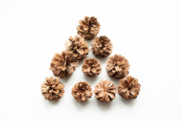 the lump in the winter. Pinecone with Christmas tree and pine