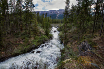 Mountain Stream at Springtime Melt