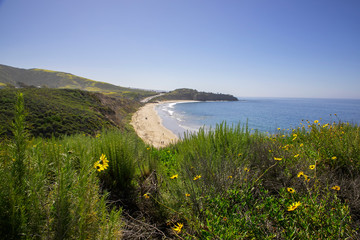 Crystal Cover State Park ocean seen from the hillside in the spring. Escaping a hectic lifestyle by hiking and enjoying nature. Healthy living.  Back country hiking trails