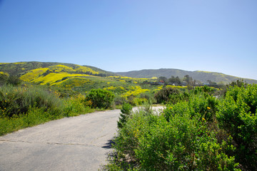 Hiking through the hills of Crystal Cover State Park in the spring. Escaping a hectic lifestyle by hiking and enjoying nature. Healthy living.  Back country hiking trails