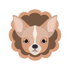 card cute and lovely of dog