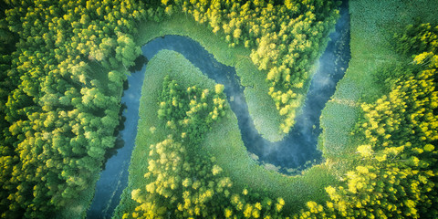 Wild river landscape from the drone - obrazy, fototapety, plakaty