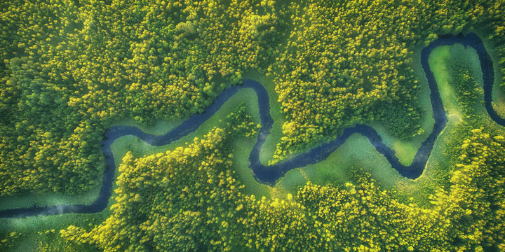 Wild river landscape from the drone