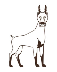 silhouette of cute doberman dog on white background