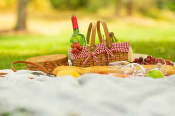 Picnic, camping in the gardens, romance and relaxation. Summer and mood. Weekend and vacation, sunny mood