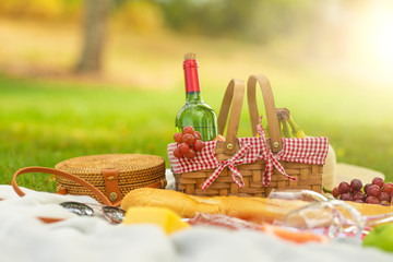 Picnic, camping in the gardens, romance and relaxation. Summer and mood. Weekend and vacation, sunny mood