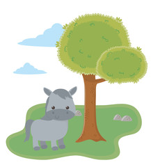Isolated donkey cartoon vector design