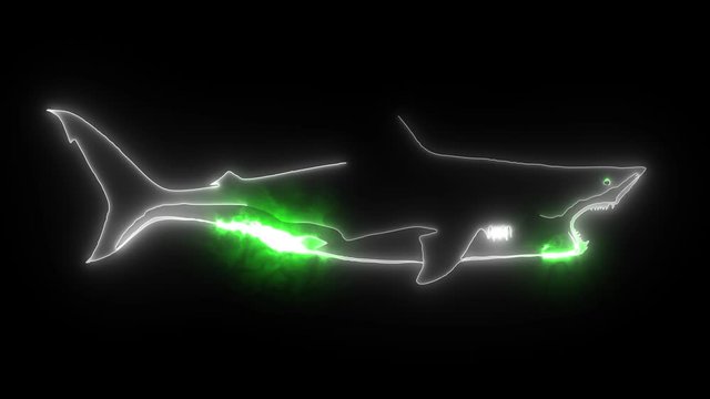Great white shark digital animation