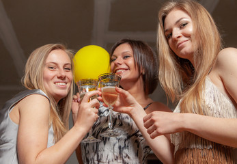 party bridesmaids before the wedding