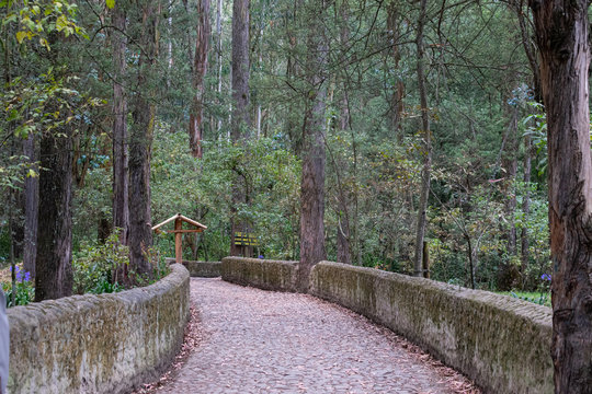 Cascada de Peguche Trail
