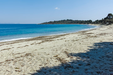 Xenia Golden Beach at Kassandra Peninsula, Chalkidiki,