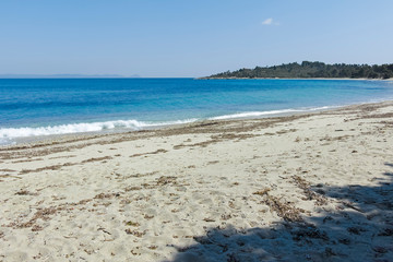 Xenia Golden Beach at Kassandra Peninsula, Chalkidiki,