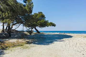 Lagoon Beach at Kassandra Peninsula, Chalkidiki, Greece