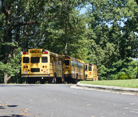 Three yellow School Buses Stoped on the street